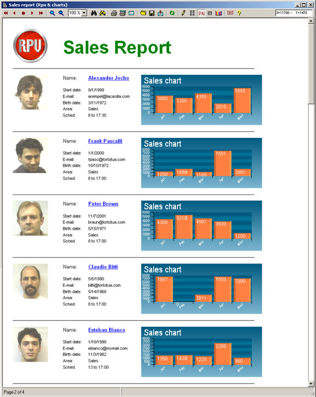 Rpv Business Reports Screenshot